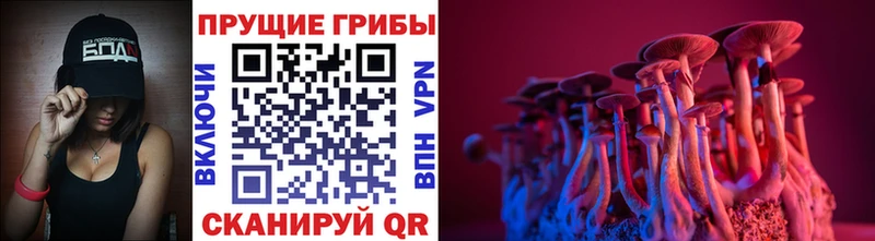 Галлюциногенные грибы мухоморы  OMG ссылка  Новомосковск  где продают наркотики 
