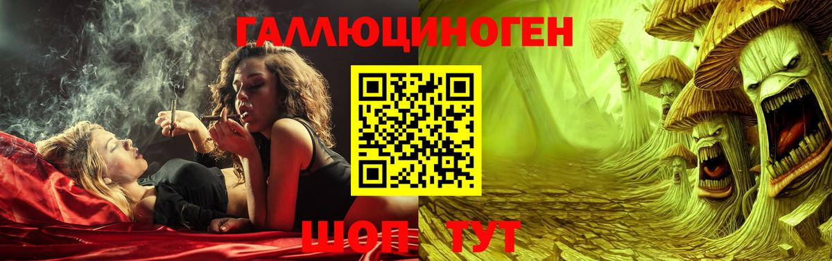Галлюциногенные грибы Psilocybine cubensis  Новомосковск 