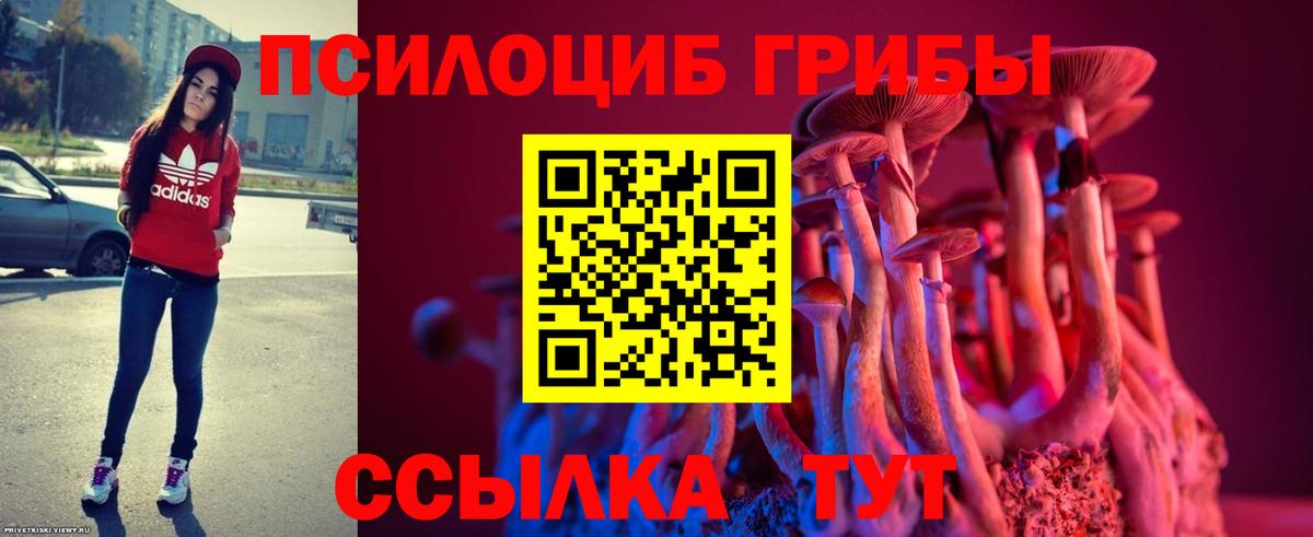 Новомосковск  Галлюциногенные грибы Psilocybe  Вход с VPN  Галлюциногенные грибы Psilocybe 
